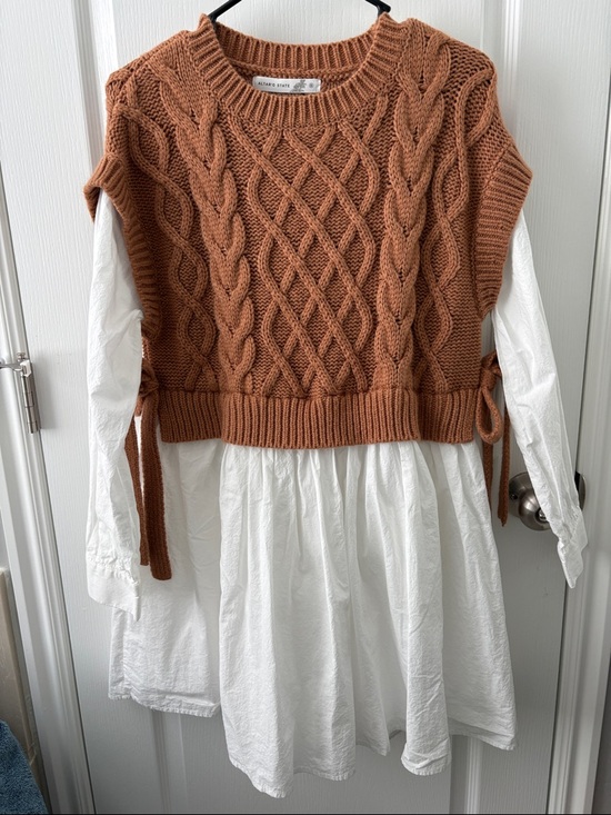 Altar'd State Dresses & Skirts - Altar’s State Cable Knit Cropped Sweater dress in Rust